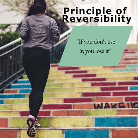 The Principle of Reversibility & Tips to Overcome It .